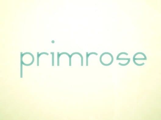 Обложка Primrose