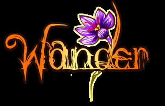 Обложка Wander