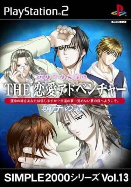 Обложка Simple 2000 Series Vol. 13: The Renai Adventure 2 - Garasu no Mori