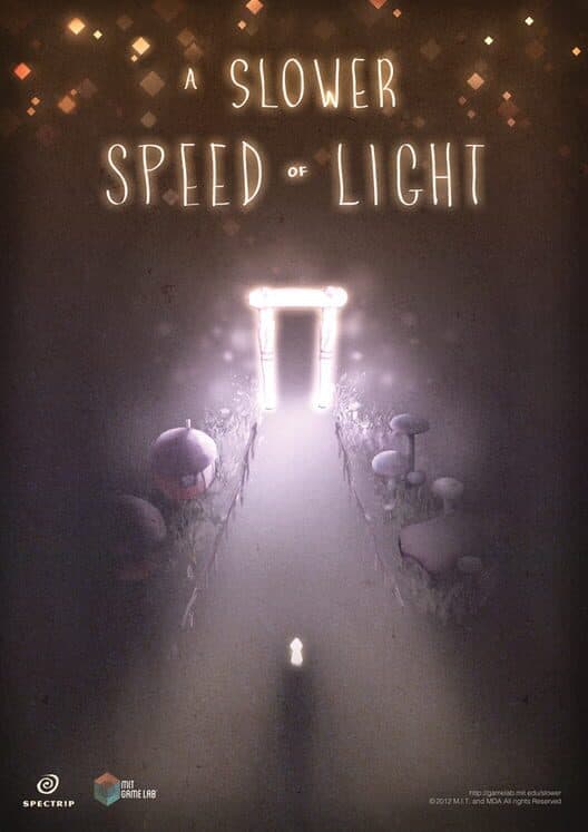 Обложка A Slower Speed of Light