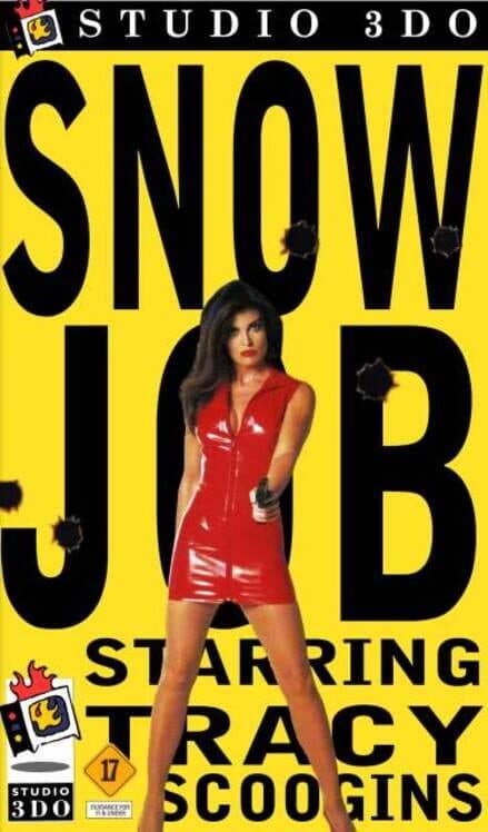 Обложка Snow Job