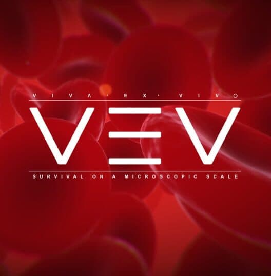 Обложка VEV: Viva Ex Vivo