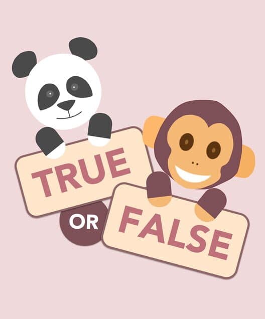 Обложка True or False