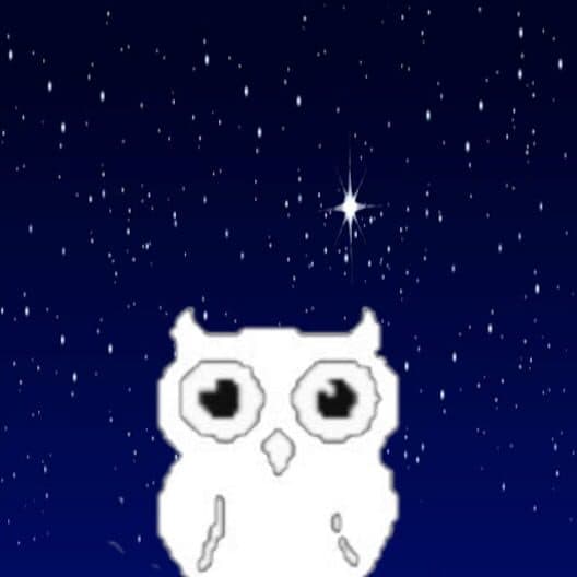 Обложка Block Owl