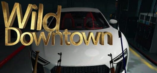 Обложка Wild Downtown