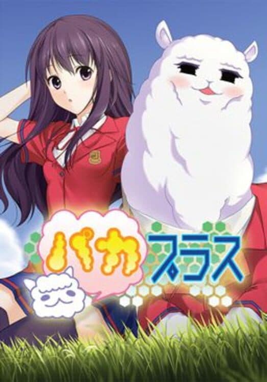 Обложка Paca Plus