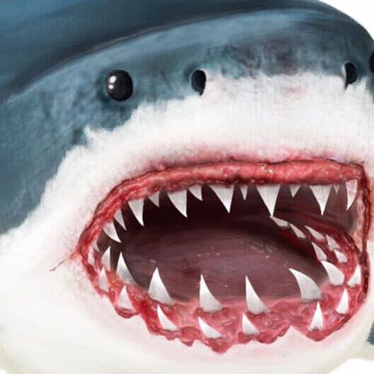Обложка Ultimate Shark Simulator