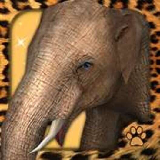 Обложка Virtual Pet Elephant