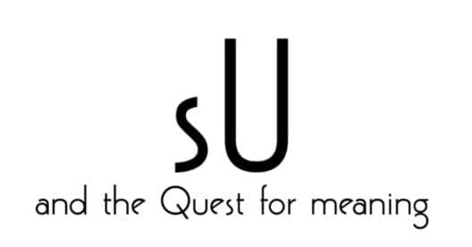 Обложка Su and the Quest for meaning