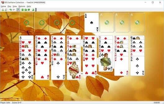 Обложка BVS Solitaire Collection