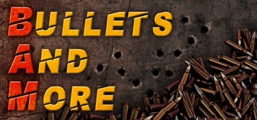 Обложка Bullets and More VR: BAM VR