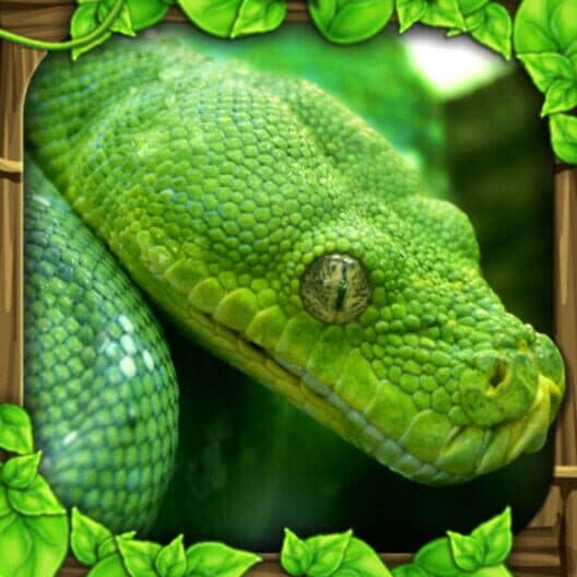 Обложка Snake Simulator