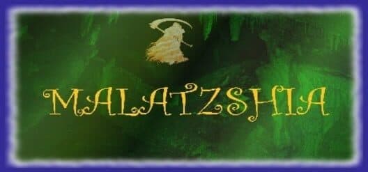 Обложка Malatzshia