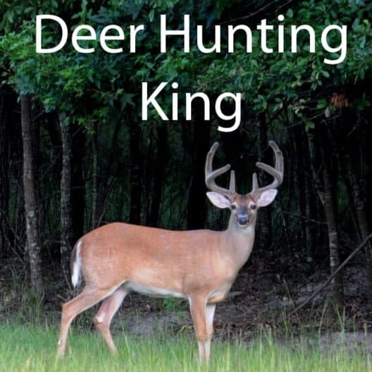 Обложка Deer Hunting King