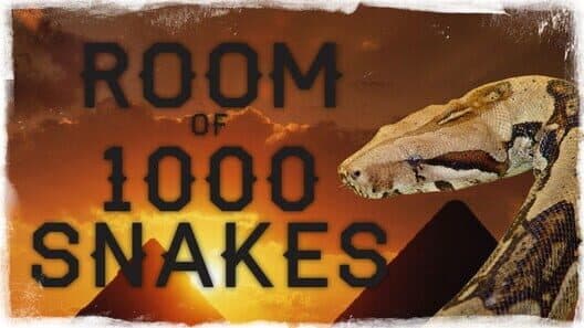 Обложка Room of 1000 Snakes