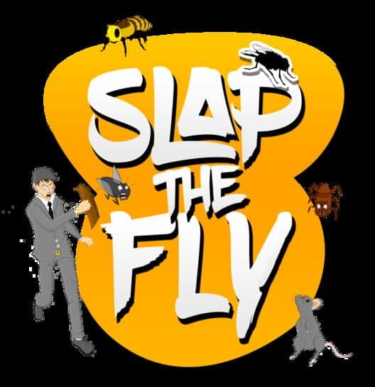 Обложка Slap the Fly
