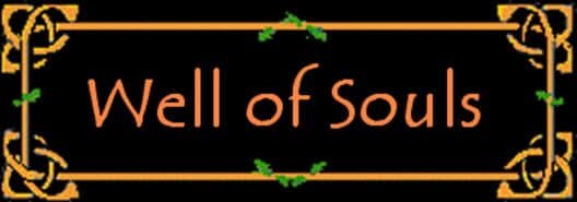 Обложка Well of Souls