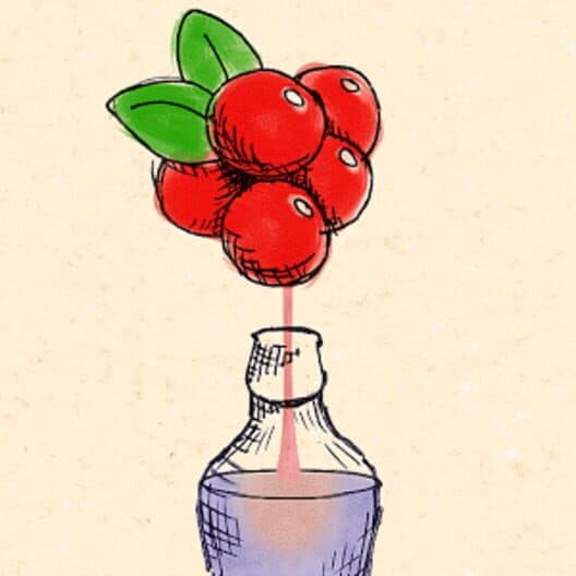 Обложка BerryMaker: DNA Soda factory