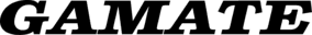 Логотип Gamate