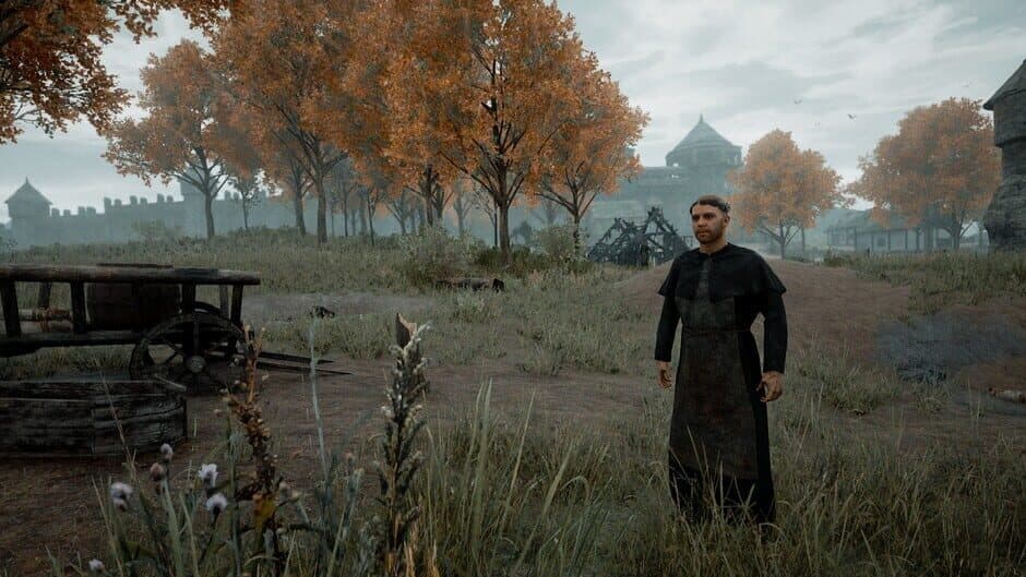 Скриншот 4 из The Black Death