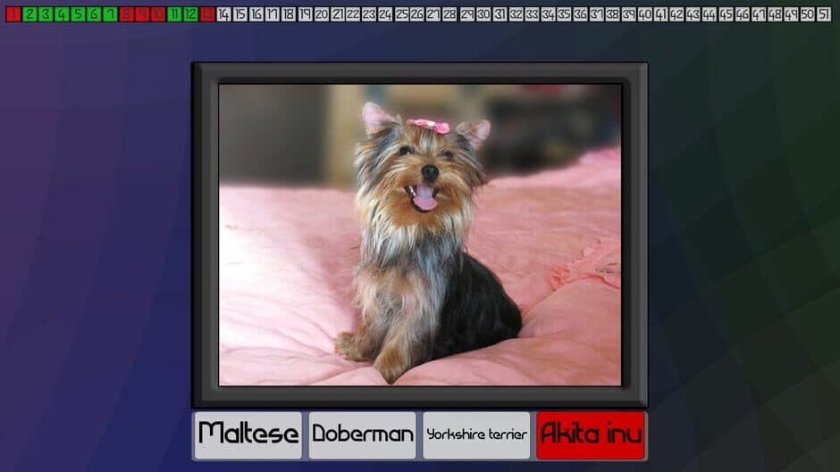 Скриншот 3 из Test your knowledge: Dogs