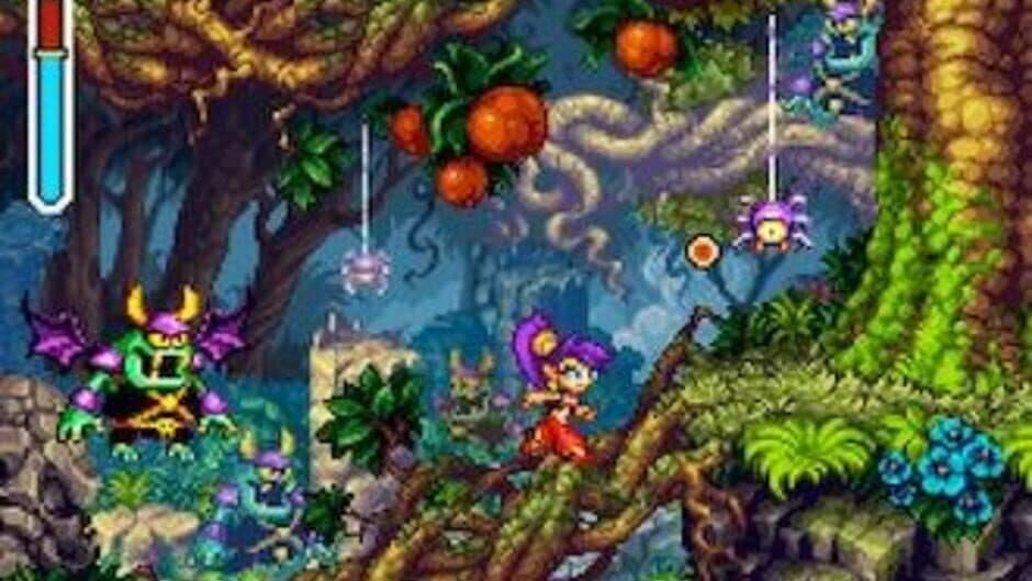Скриншот 1 из Shantae: Risky's Revenge