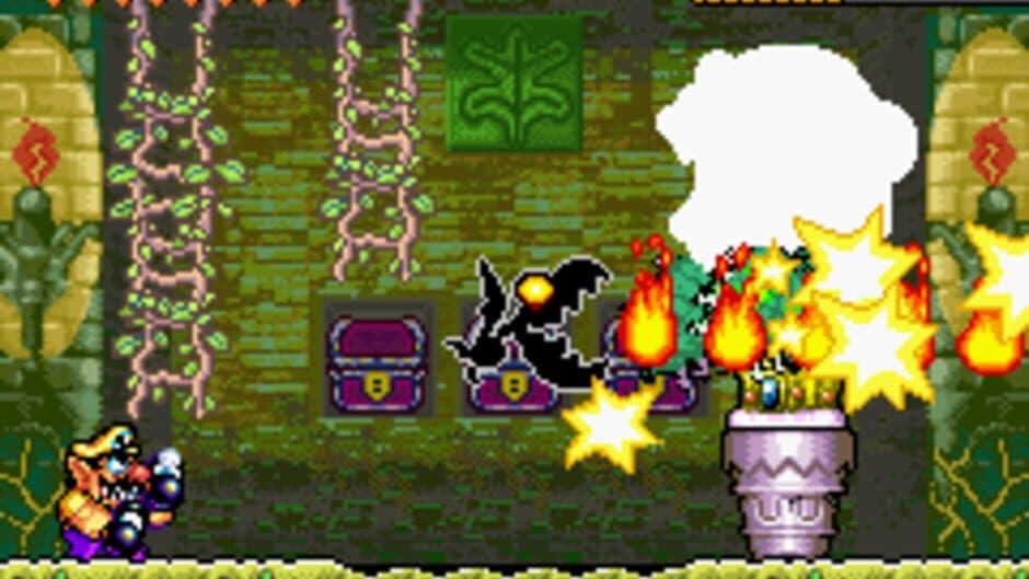 Скриншот 1 из Wario Land 4