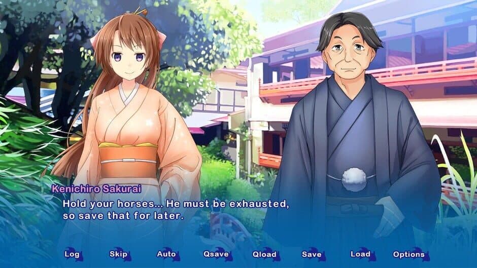 Скриншот 2 из Kyoto Colorful Days
