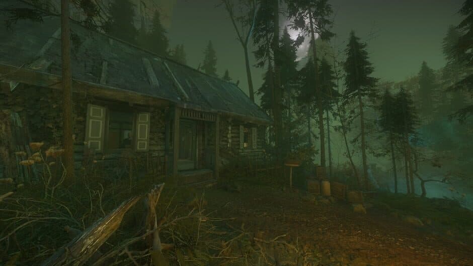 Скриншот 3 из The Cursed Forest