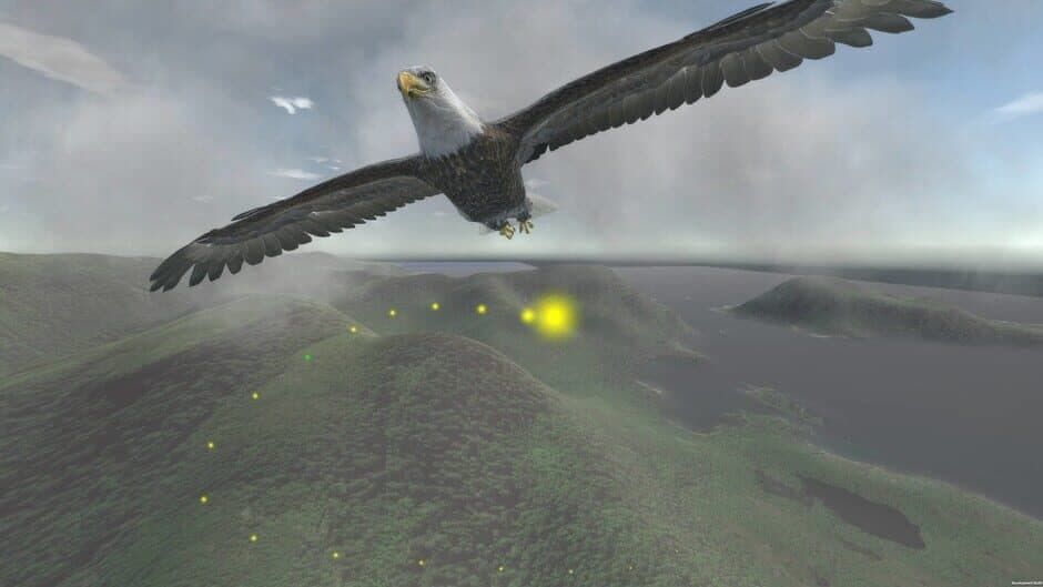 Скриншот 4 из Aquila Bird Flight Simulator