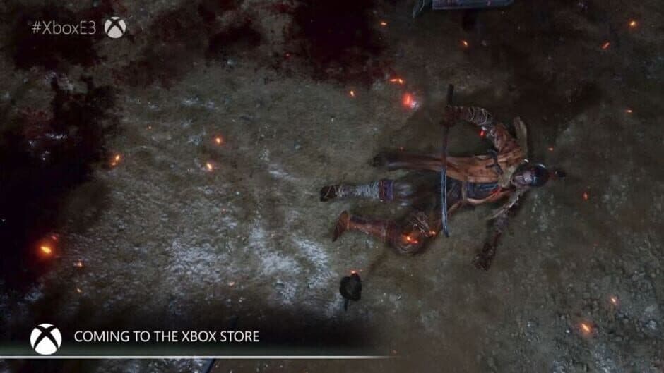 Скриншот 3 из Sekiro: Shadows Die Twice - Collector's Edition