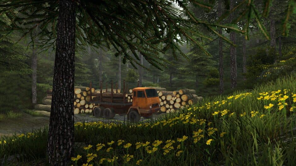 Скриншот 3 из Professional Offroad Transport Simulator