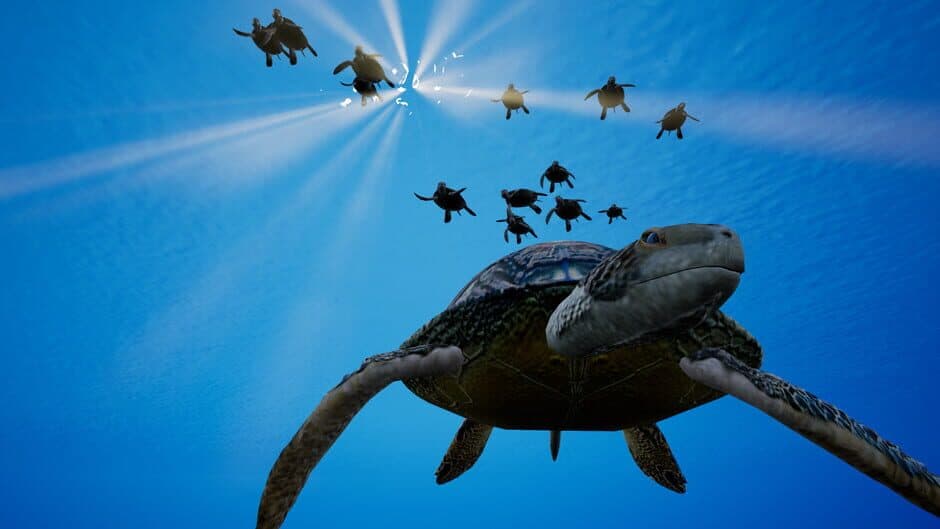Скриншот 2 из Call of the Ocean