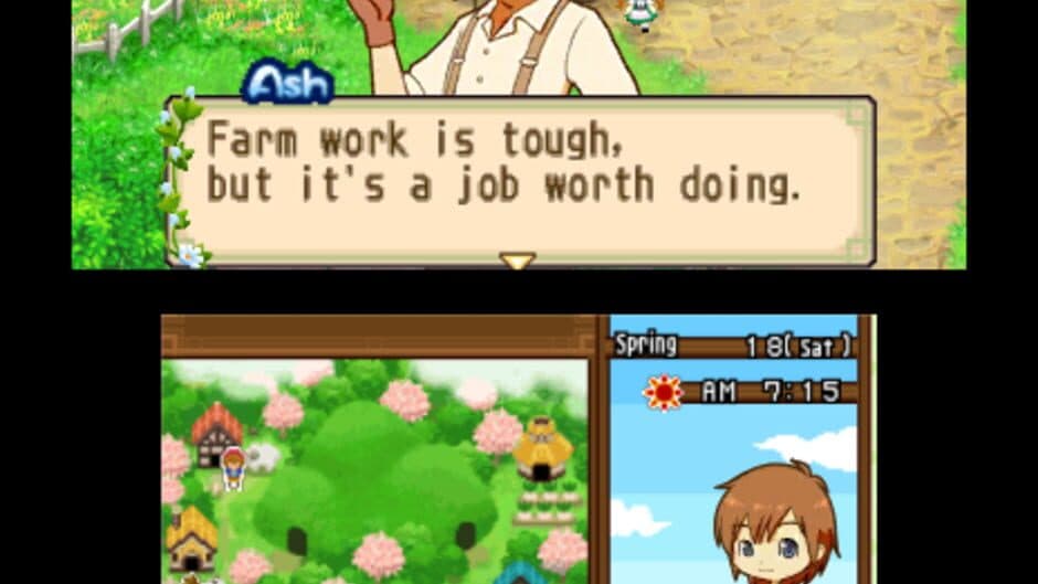 Скриншот 3 из Harvest Moon: The Tale of Two Towns