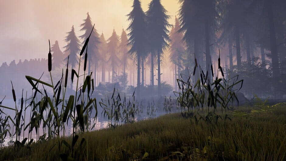 Скриншот 3 из Bigfoot
