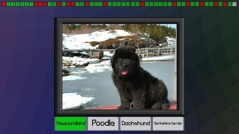 Скриншот 4 из Test your knowledge: Dogs