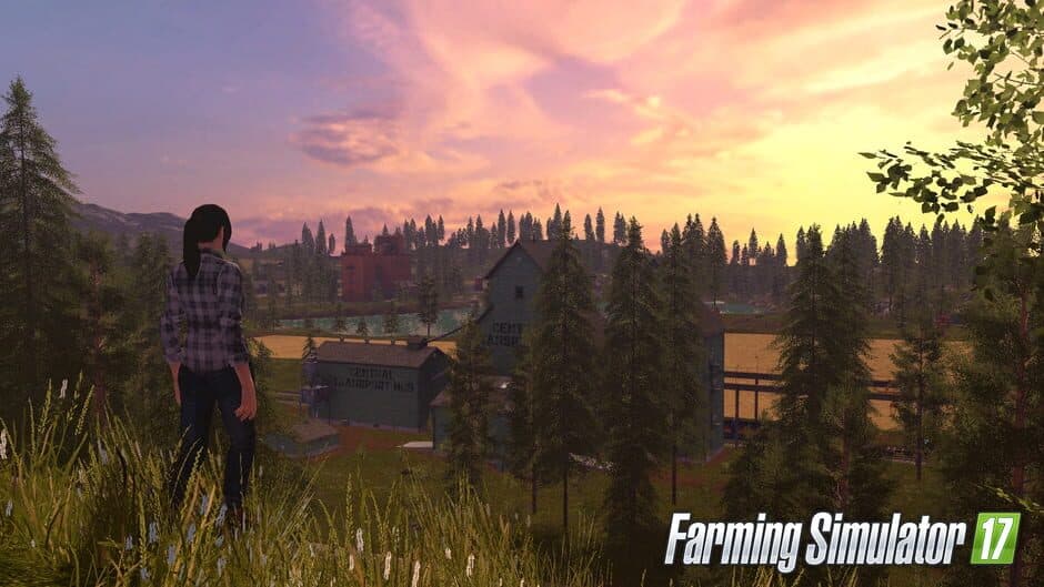 Скриншот 3 из Farming Simulator 17