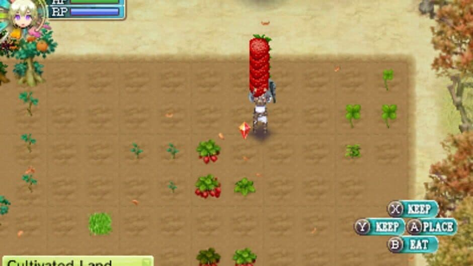 Скриншот 11 из Rune Factory 4