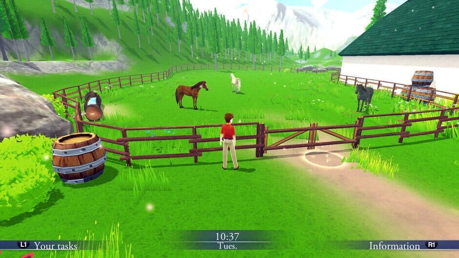 Скриншот 4 из My Riding Stables: Life with Horses 2