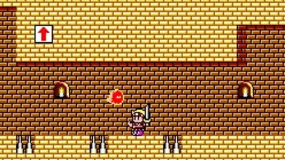 Скриншот 4 из Wonder Boy: Monster Land