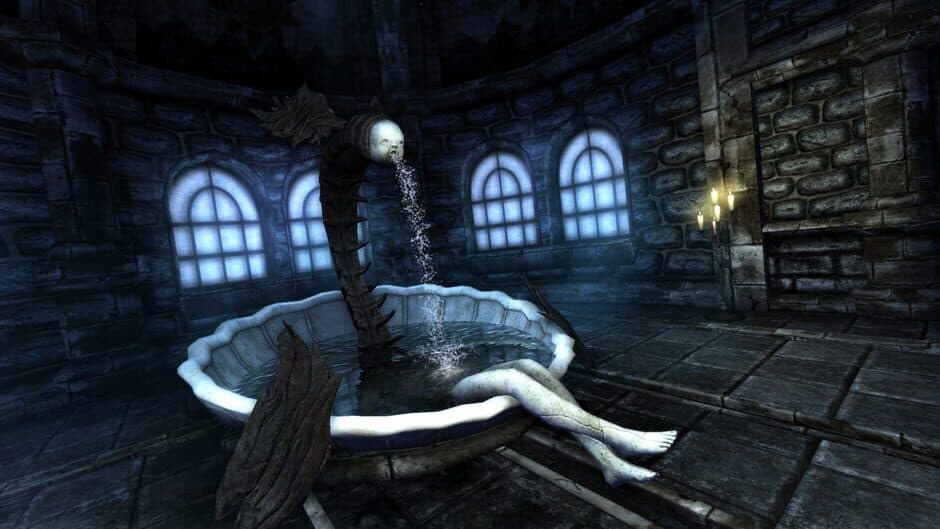 Скриншот 4 из Amnesia: Collection