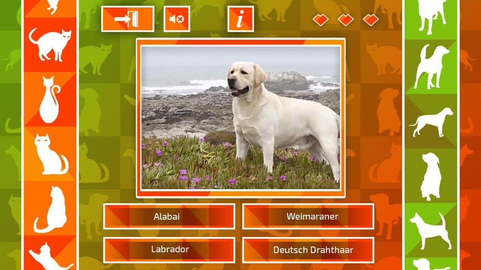 Скриншот 4 из JQ: dogs & cats