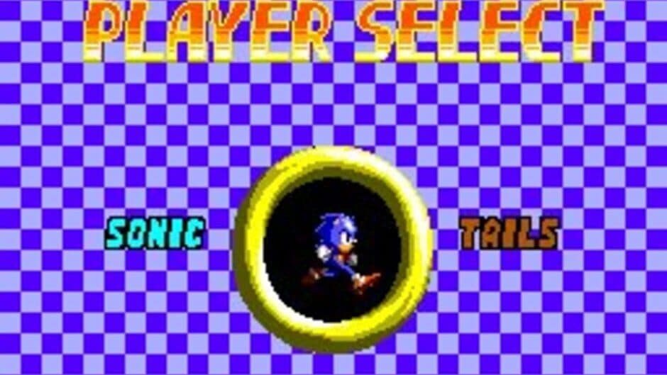 Скриншот 1 из Sonic the Hedgehog Chaos