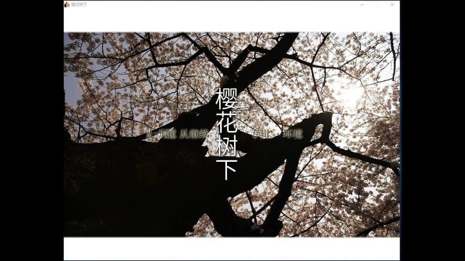 Скриншот 1 из Beneath the Cherry Trees