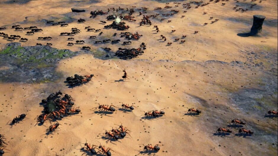 Скриншот 4 из Empires of the Undergrowth