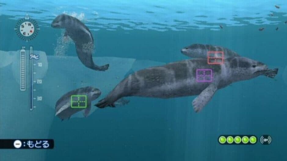 Скриншот 12 из Endless Ocean: Blue World