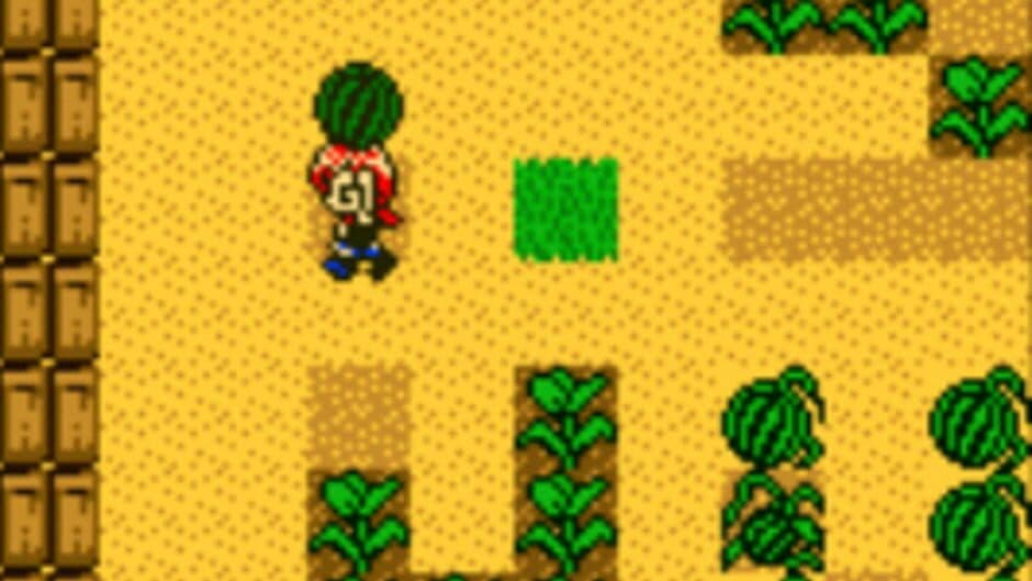 Скриншот 1 из Harvest Moon 2 GBC