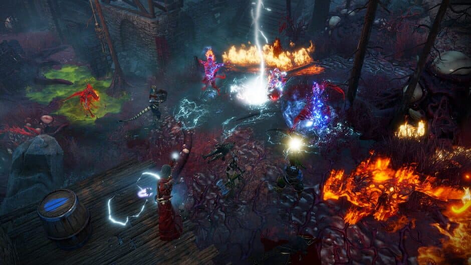 Скриншот 1 из Divinity: Original Sin II - Definitive Edition