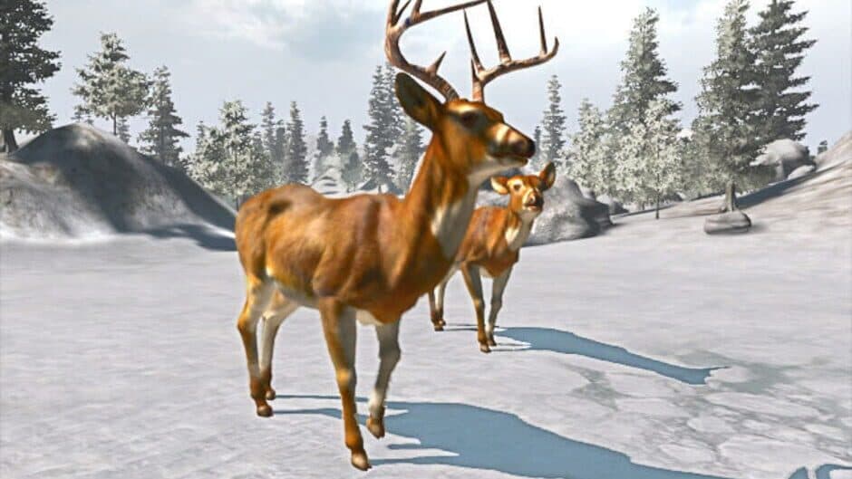 Скриншот 1 из Cabela's Trophy Bucks