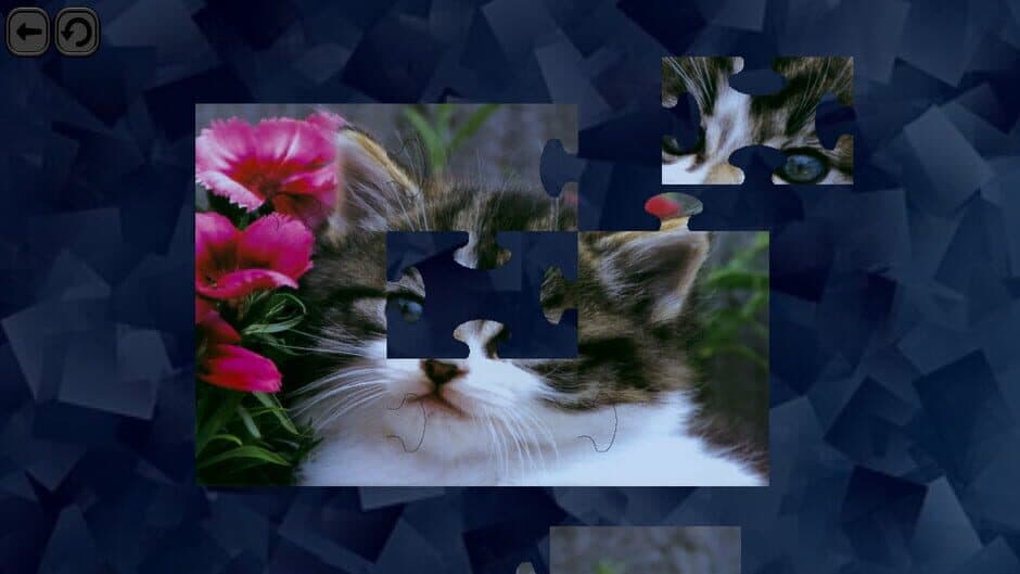 Скриншот 3 из Puzzles for smart: Cats